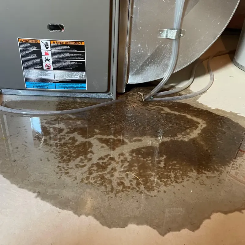 Appliance Leak Cleanup in Pendleton, SC