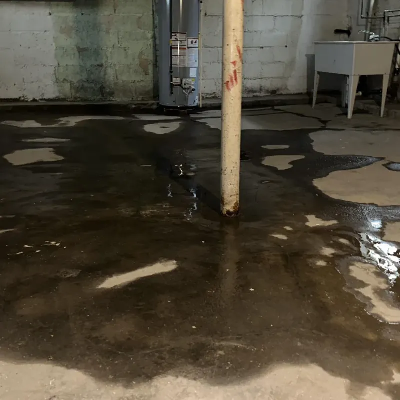 Emergency Water Extraction And Removal in Pendleton, SC